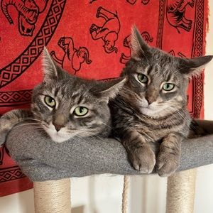 Meet your Posher, Riv